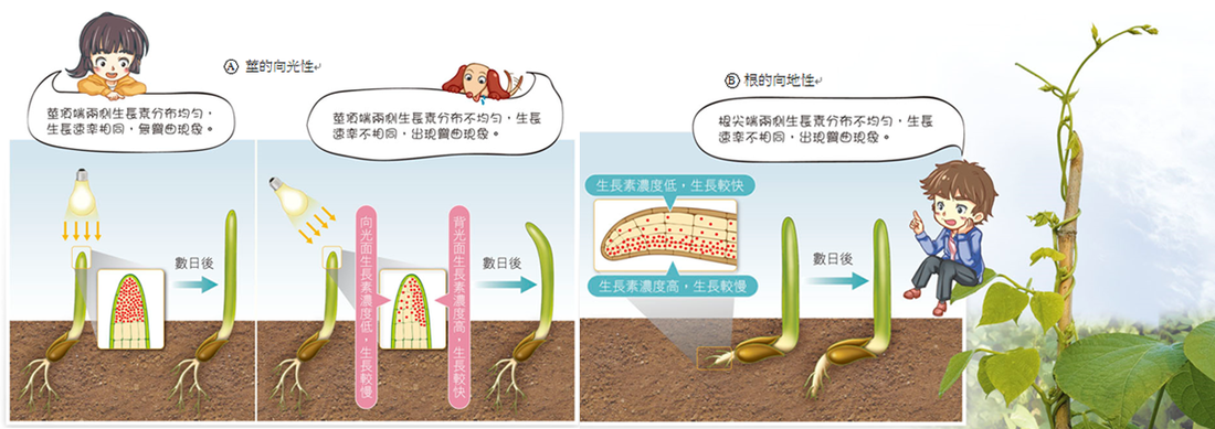 俄罗斯美女快递员马背上备战双11_开元棋牌电脑版(图2) 开元棋牌官方下载
